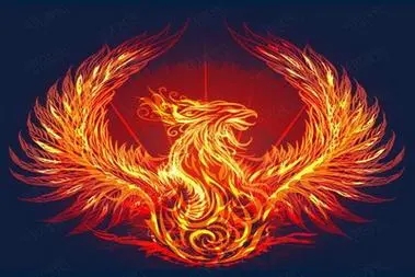 六种哪种火命最好