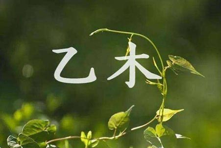 乙木日元生于几月份好