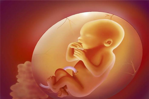 ​胎元八字看命运