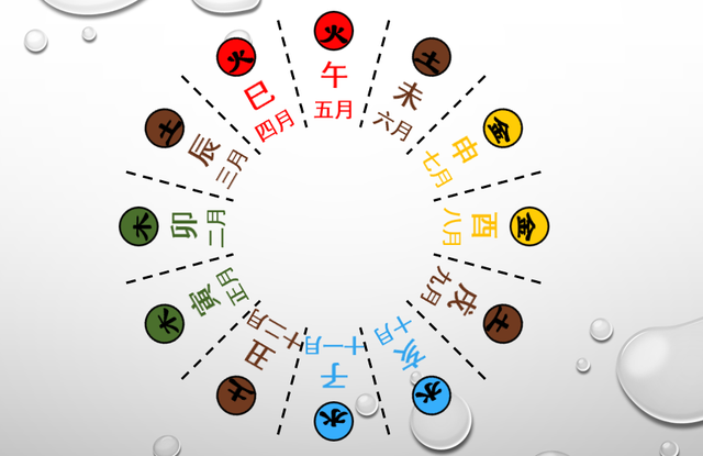 十二地支所代表的五行