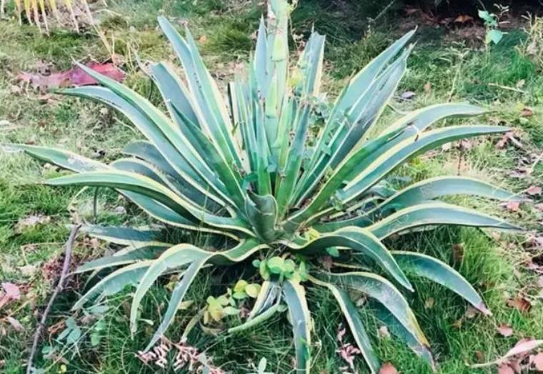 八字不清的人需要注意什么