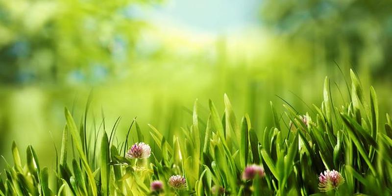 身旺比劫透干含义