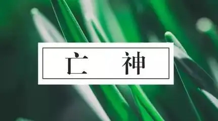 八字日柱有亡神好吗