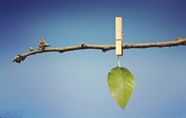 假从格八字是什么意思