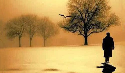 八字特殊格局命运好不好