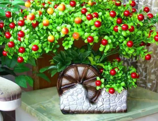 住宅桌子摆放什么花招财