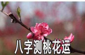 八字中的桃花是怎么查的