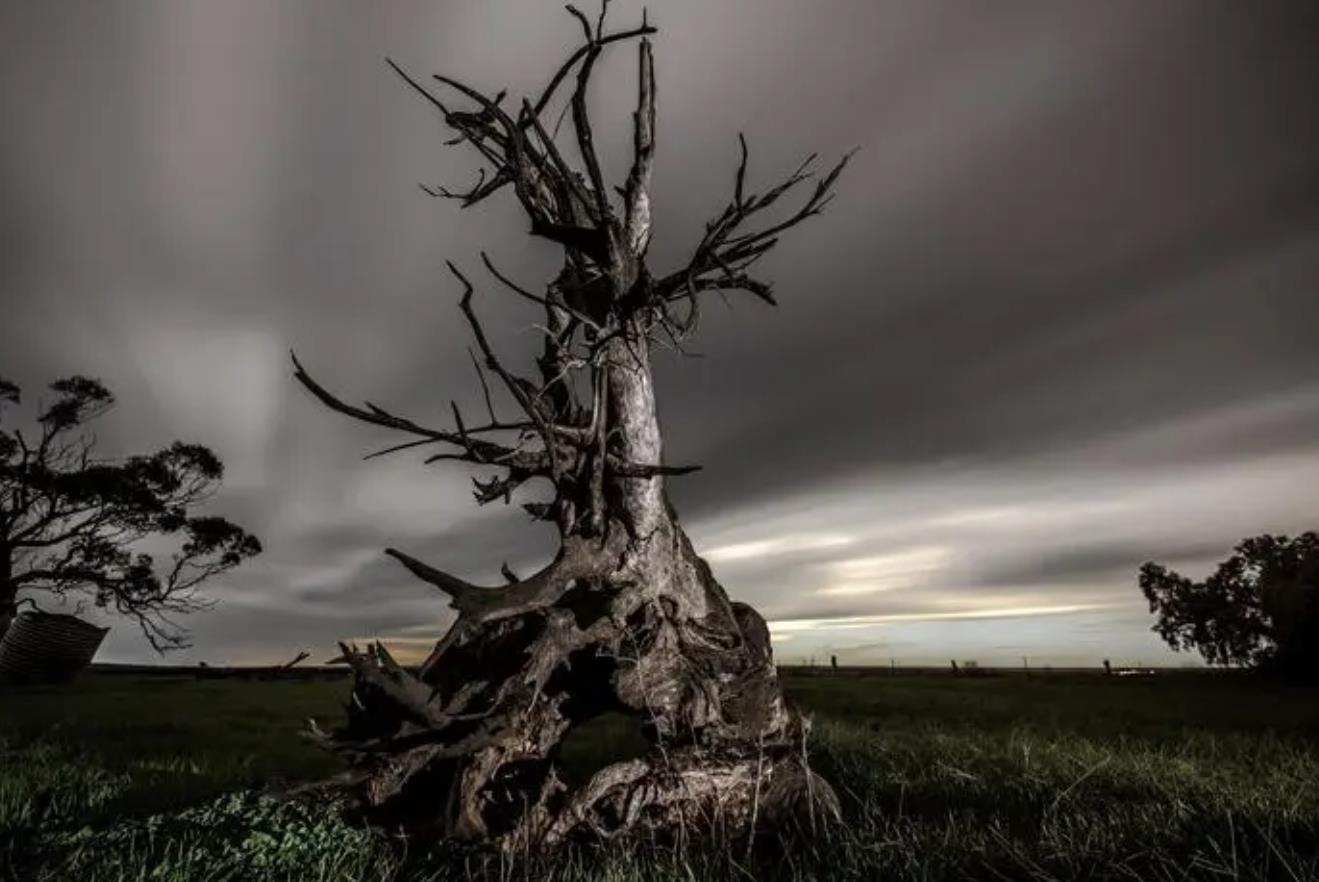 八字预测生死的技巧