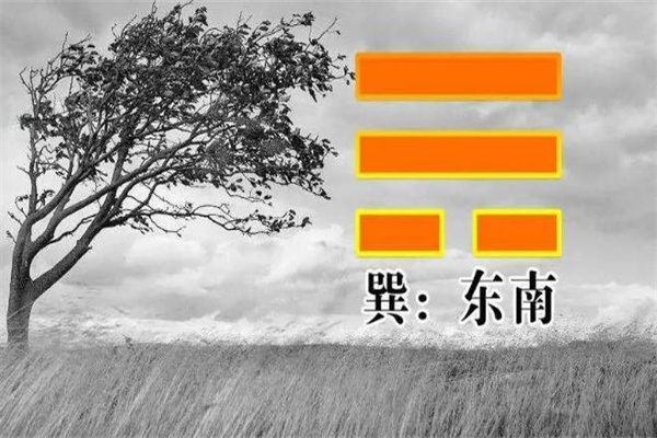 六爻中八卦巽卦取象技巧