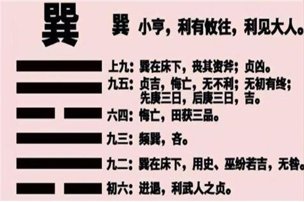 360截图20240813080910435.jpg 360截图20240813080910435.jpg