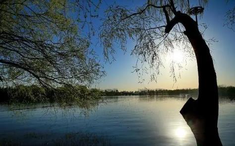 丁巳生在卯月的人好吗