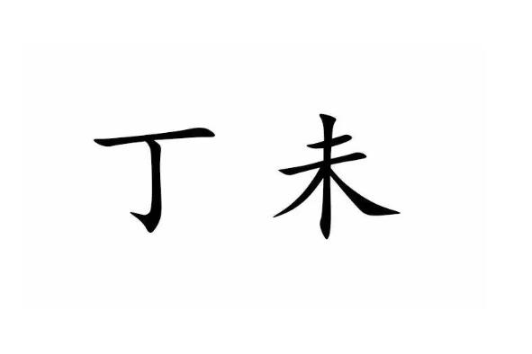 丁未日柱的女命好吗