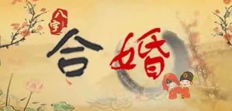 男女八字合婚主要看什么