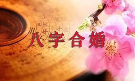男女八字合婚都看什么