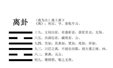 360截图20240831101754773.jpg 360截图20240831101754773.jpg