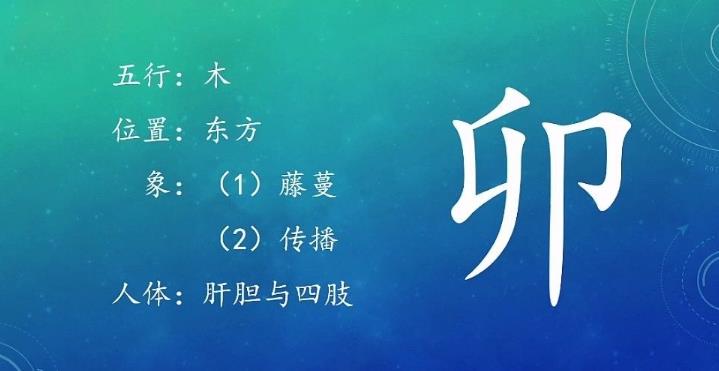 八字地支三个卯好吗