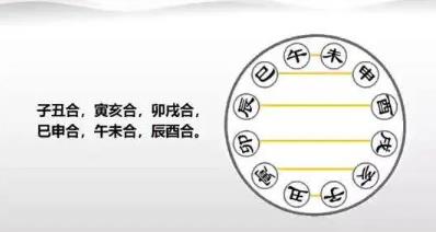 八字中地支六合有哪些