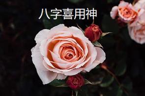 八字中的喜用神是什么