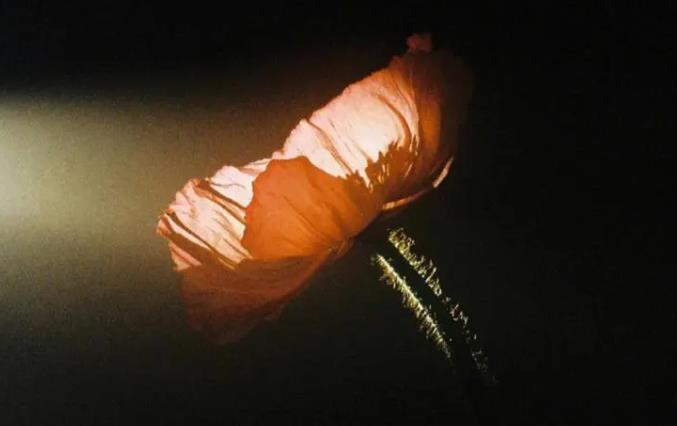 八字如何看财富格局