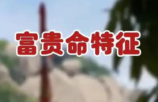 富贵命的八字特征