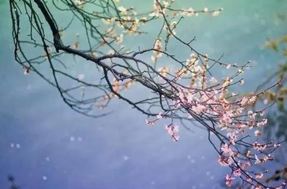 影响桃花的住宅风水方位