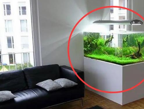商铺鱼缸摆放风水禁忌