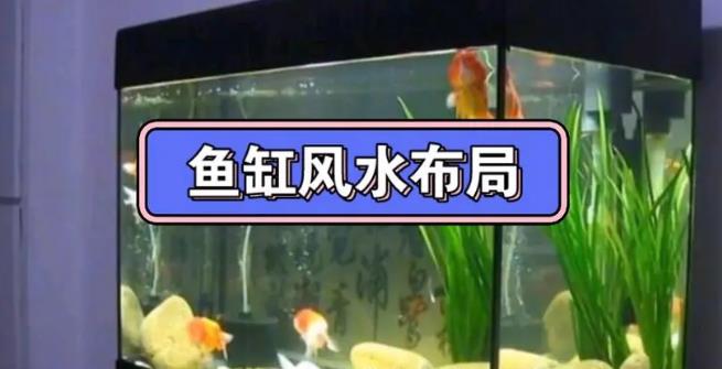 家居鱼缸的旺财方位选择