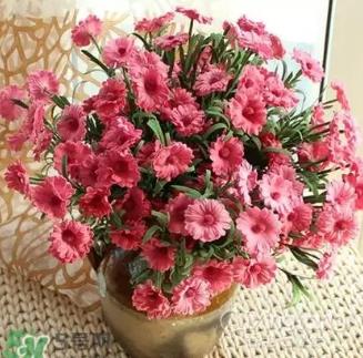 卧室放假花的风水影响