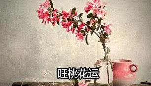 影响招桃花风水布局的因素