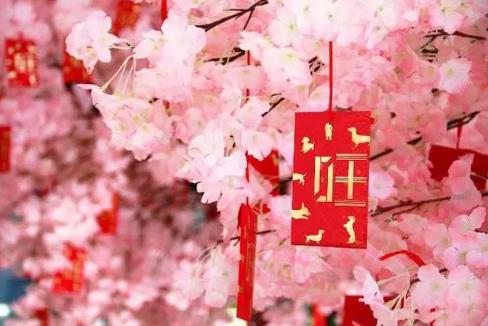 招桃花布局风水讲究