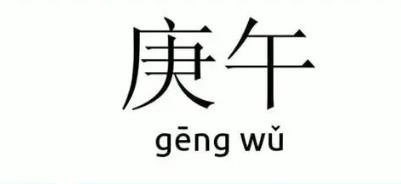 八字庚午日柱的人命好吗