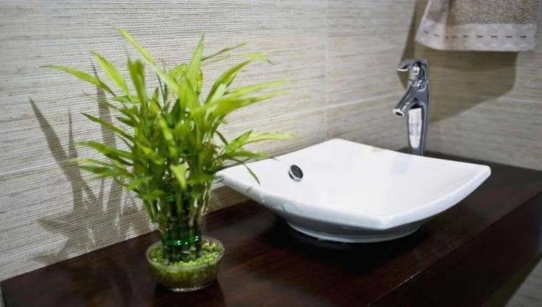 住宅西北角是厕所如何化解