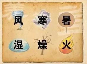 八字太湿代表什么
