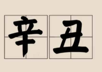 辛丑日柱的女命好吗