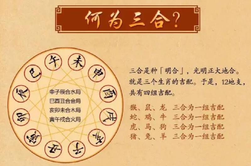 如何判断八字地支三合的效力