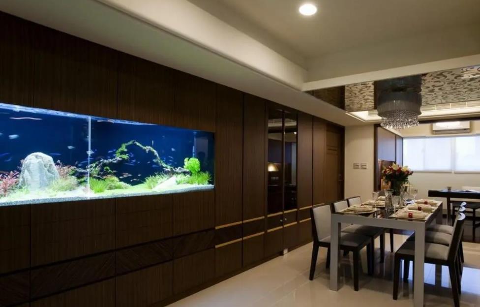 财位上放鱼缸养鱼好不好