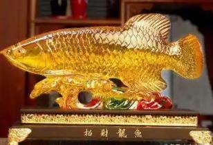 财运亨通的客厅布局要点