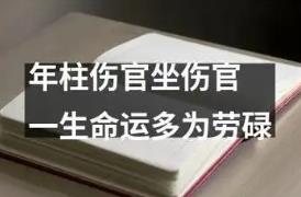 伤官在年柱代表什么意思