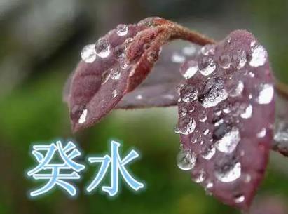 癸水日柱女命的运势分析