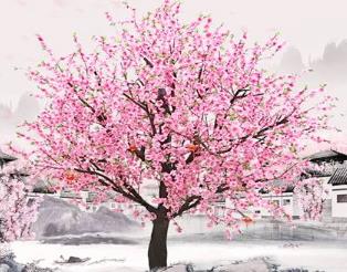 住宅风水提升桃花运的禁忌