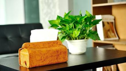 办公室桃花位适合摆放什么