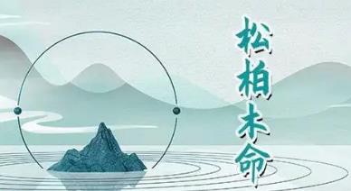 松柏木的男命事业如何