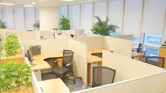 办公室催财的实用方法