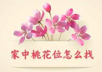 如何根据桃花位选择摆放物品