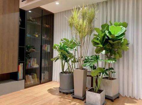 造成运势不好的家居风水