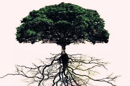 八字印星通根代表什么含义