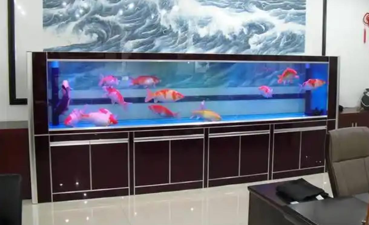 办公室鱼缸摆放风水禁忌