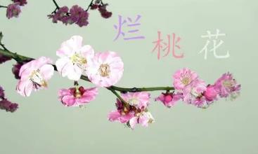 哪些家居风水最招烂桃花