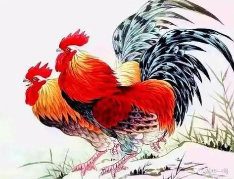 1969年出生的人运势分析