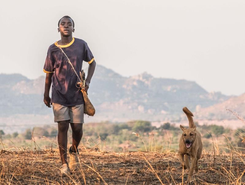 贫苦命的八字特征